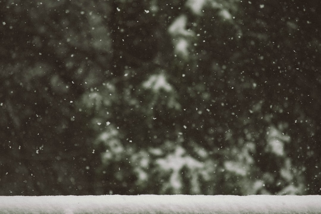 white snow flakes,