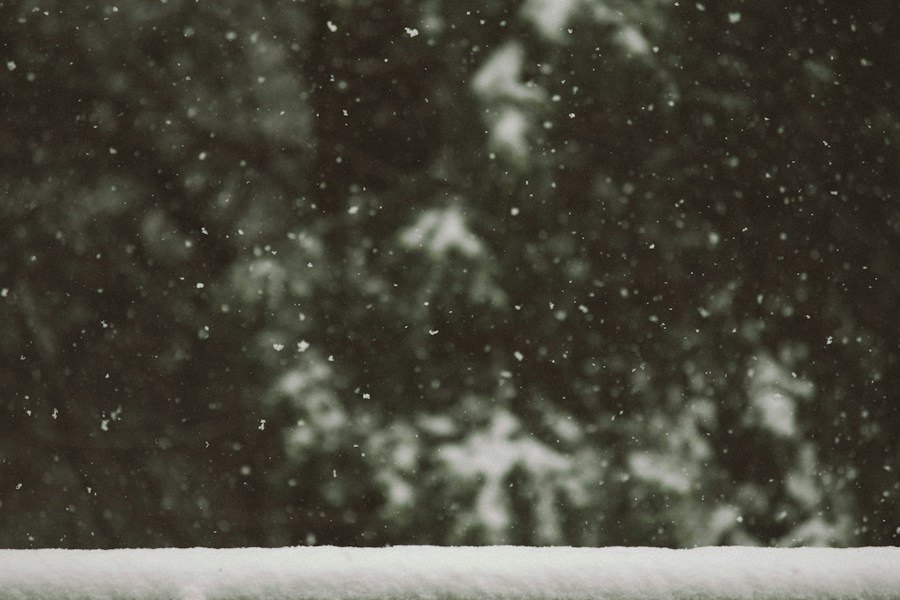 White snowflakes close up