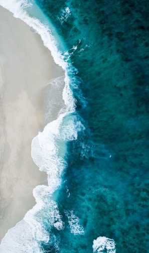 aerial photo of seashore