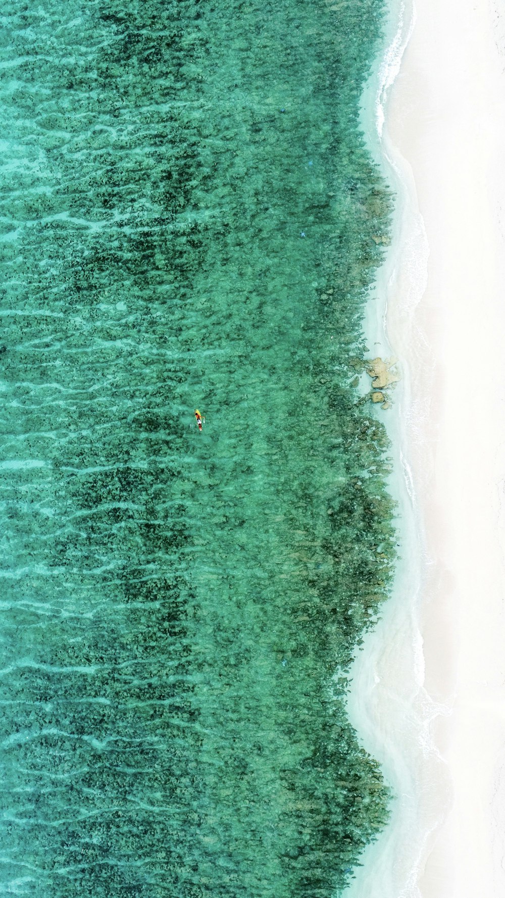 Fotografía de vista aérea del océano y la costa