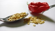 A vivid red chili pepper is placed on a white surface next to a metallic spoon filled with yellow seeds. Some of the seeds are scattered on the surface beside the spoon, creating a textured and colorful composition.