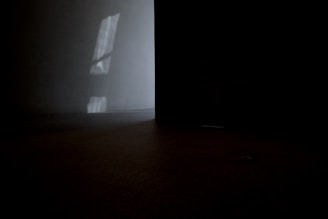 A shadowed corner of an art studio, faint light slipping through heavy curtains onto a textured canvas.
