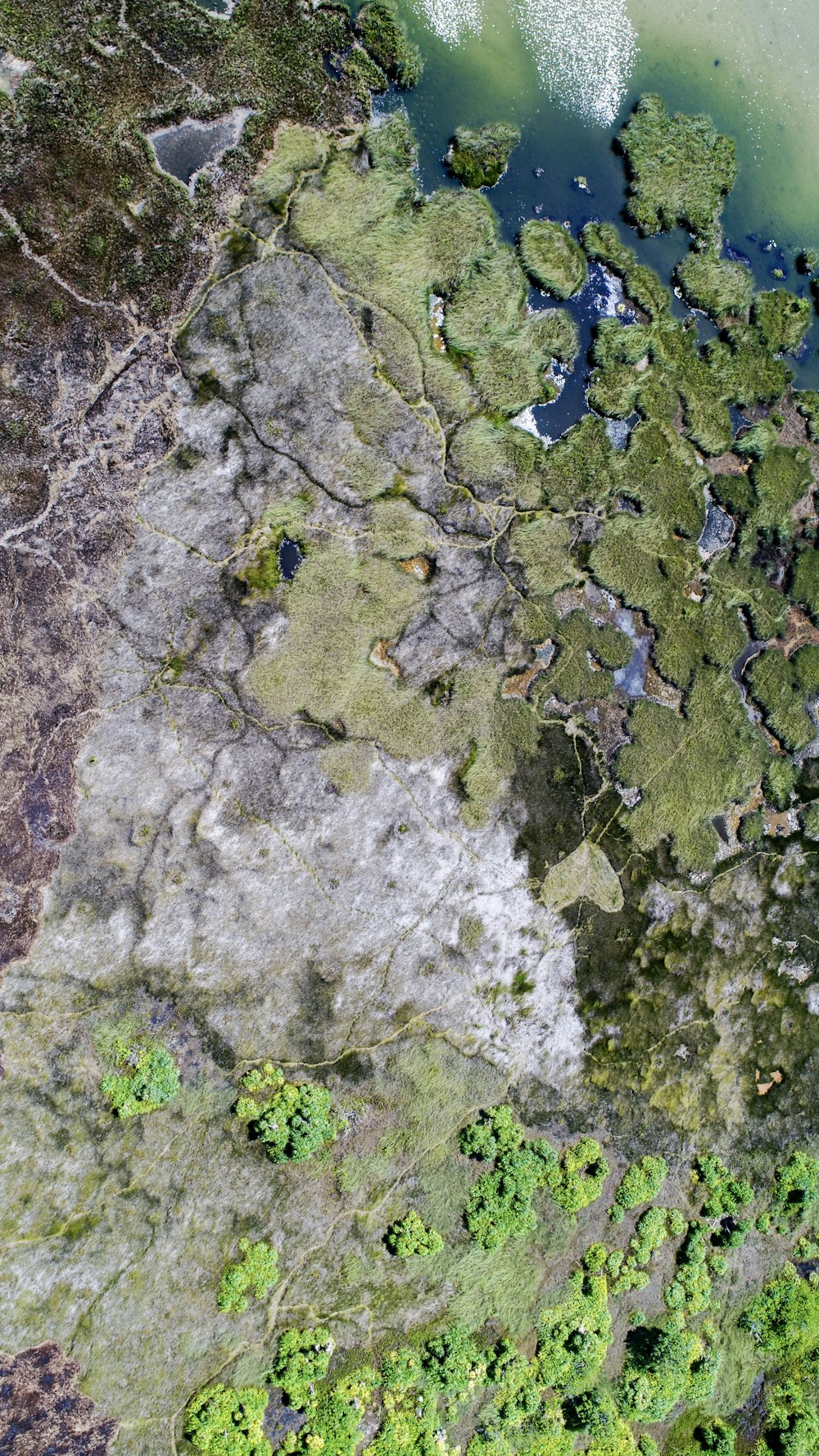 fotografia aerea dello specchio d'acqua