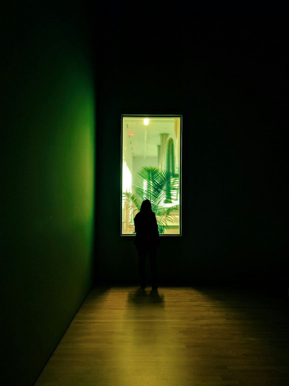 silhouette photo of person looking outside the window