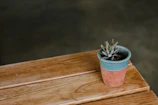 A small artificial succulent in a rustic terracotta pot on a wooden table.