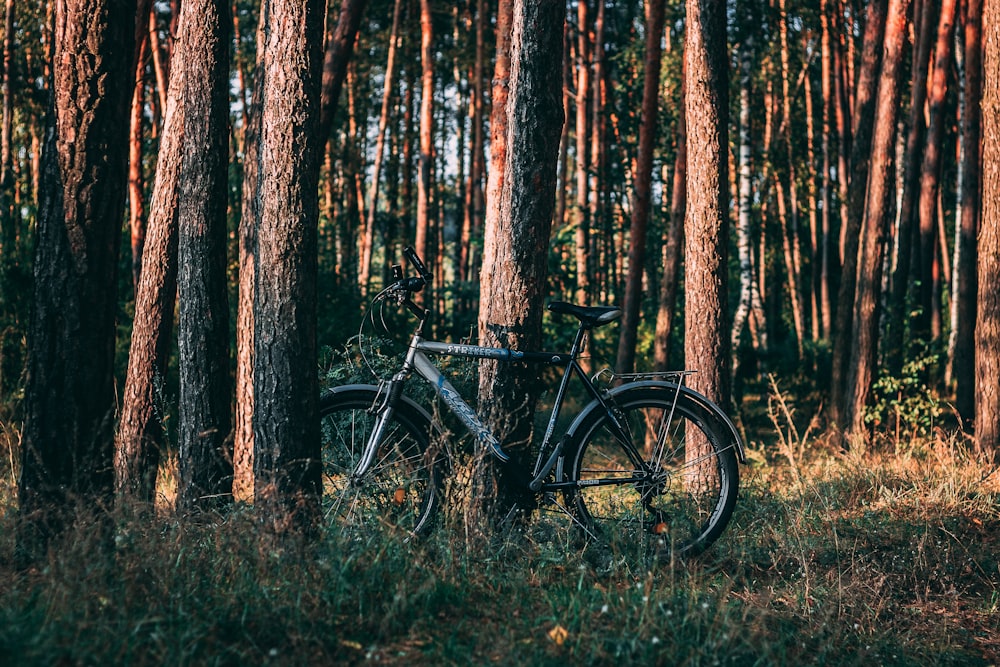 Graues Fahrrad tagsüber von Bäumen umgeben