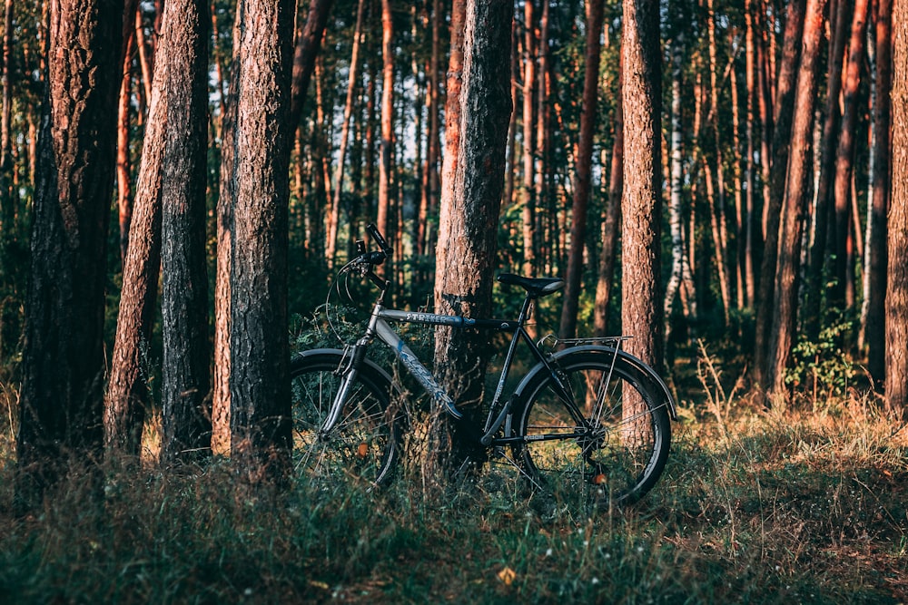 gray bicycle surrounded by trees during daytime