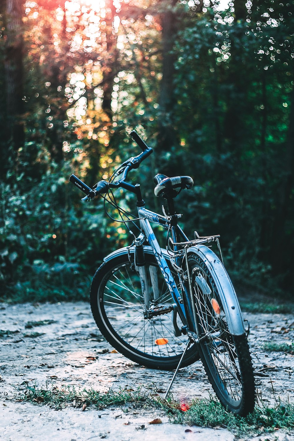 blue and black commuter bike parked near green trees