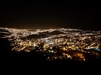 aerial photography of city at night