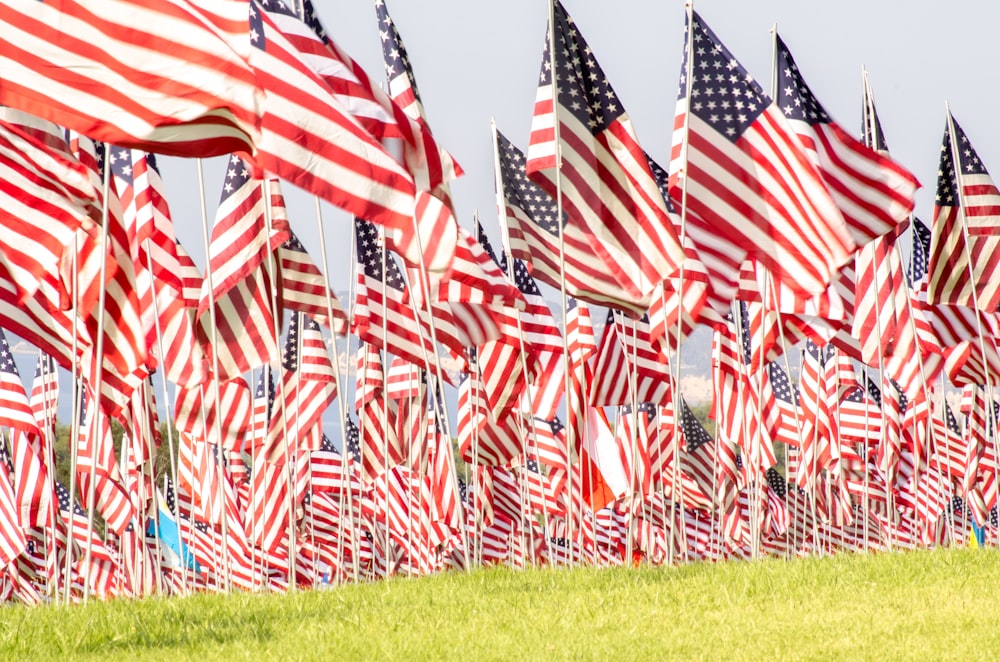 bunch of U.S.A. flags