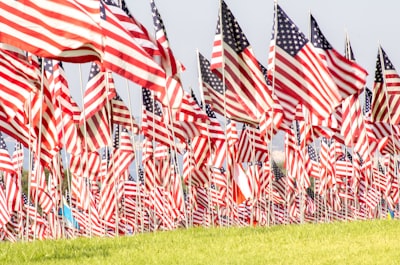 bunch of u.s.a. flags flag day google meet background