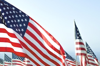 Expand Your Reach: Form Your US Company from Africa with Doola