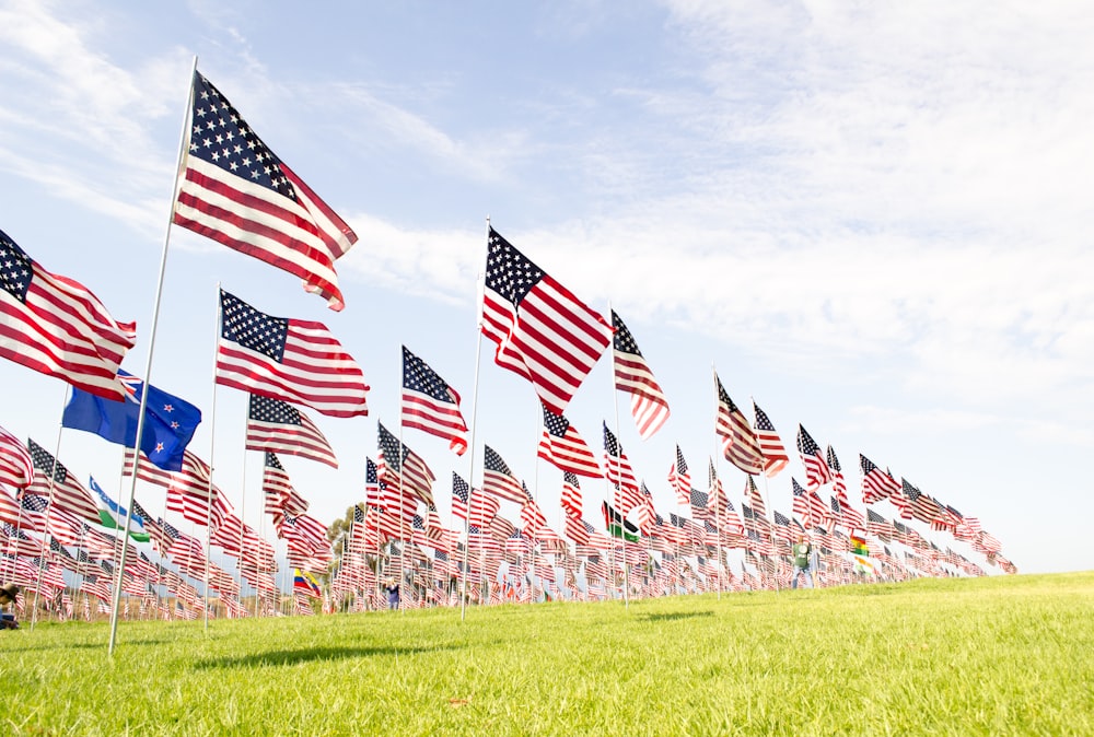 Banderas de EE.UU. en un campo de hierba verde durante el día