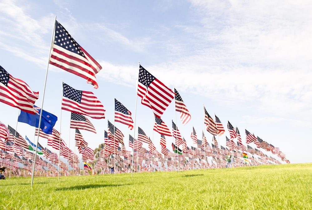 U.S.A flags on green grass field during daytime