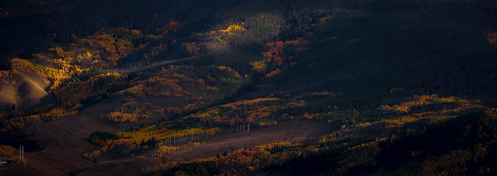 panoramic photography of mountain