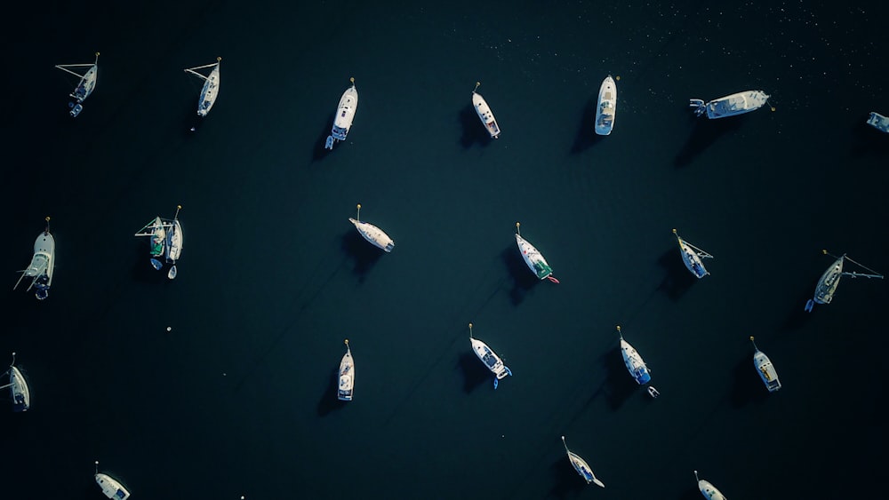 fotografia aérea de barco no corpo de água