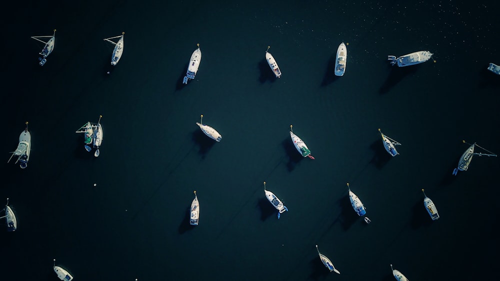 aerial photography of boat on body of water