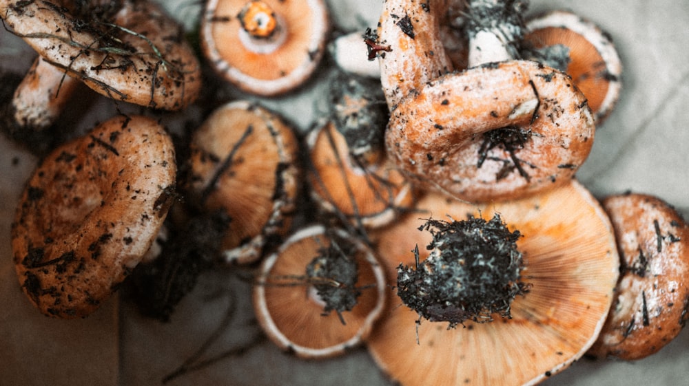 closeup photography of brown mushrooms