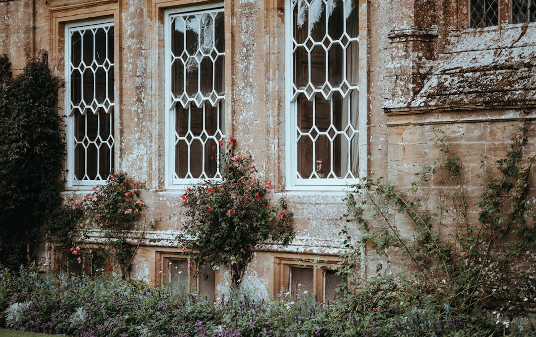 white building near green plants