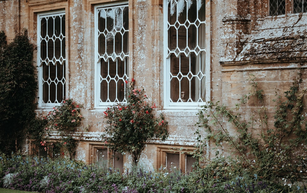 white building near green plants