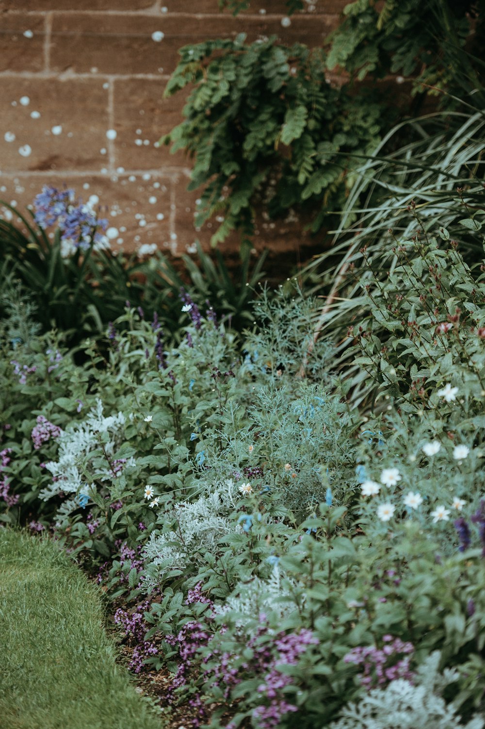 shallow focus photo of green plants