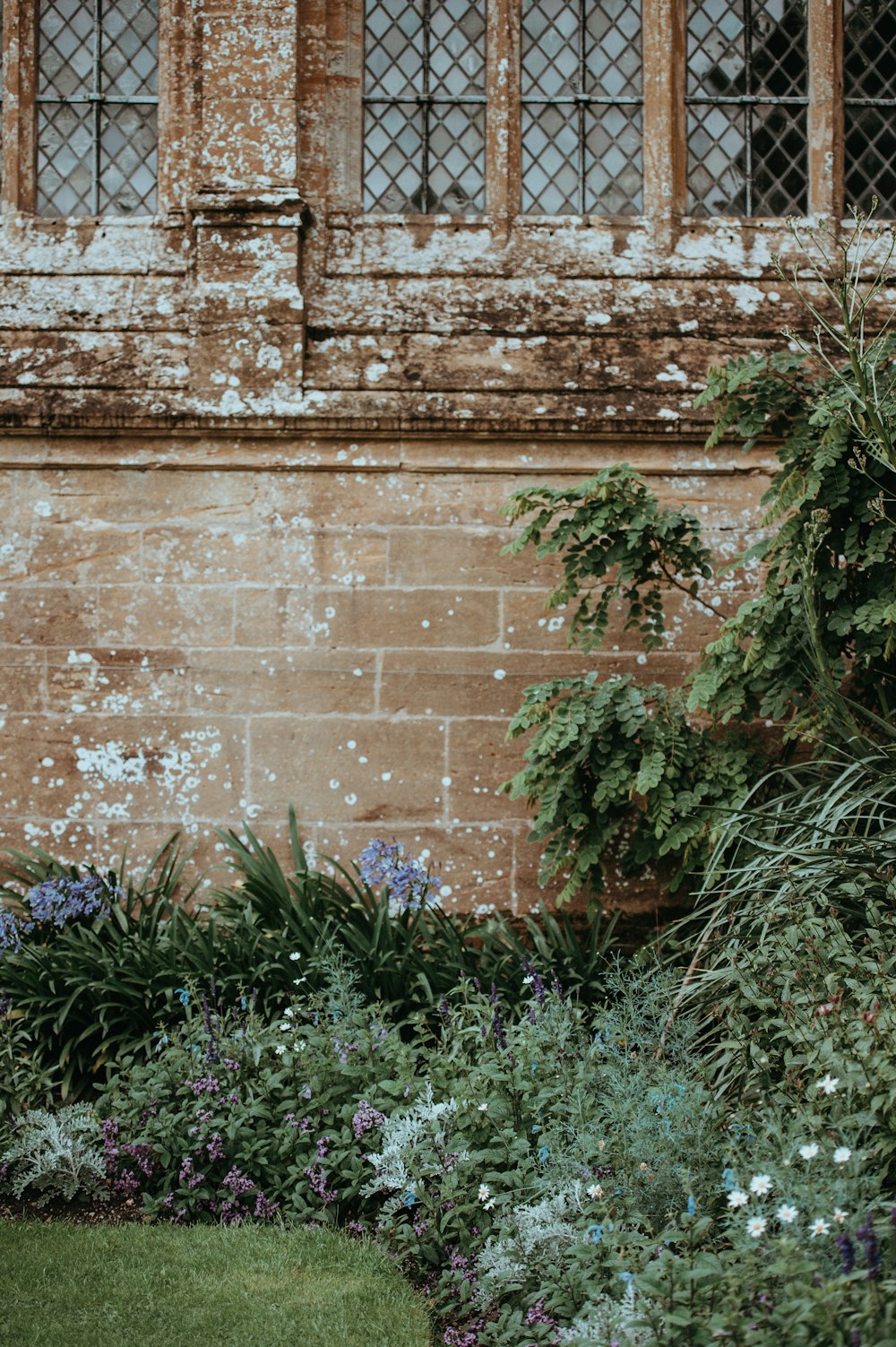 an old building with a bunch of plants in front of it