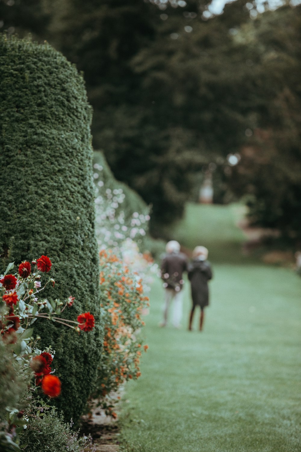 two person walking on green grass lawn