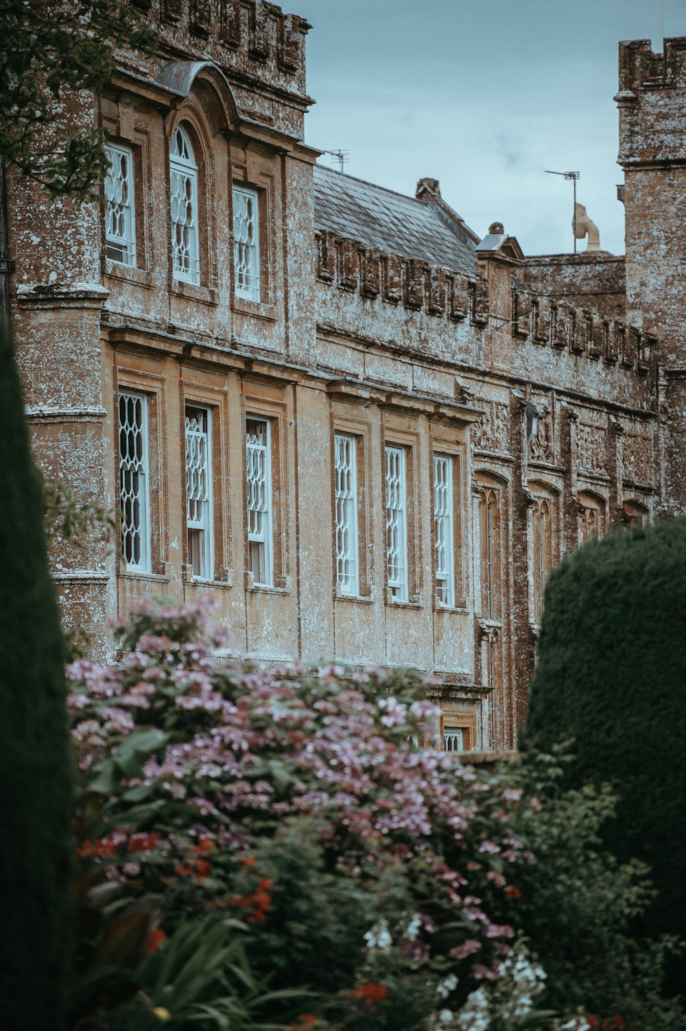 Edificio de hormigón marrón rodeado de flores durante el día