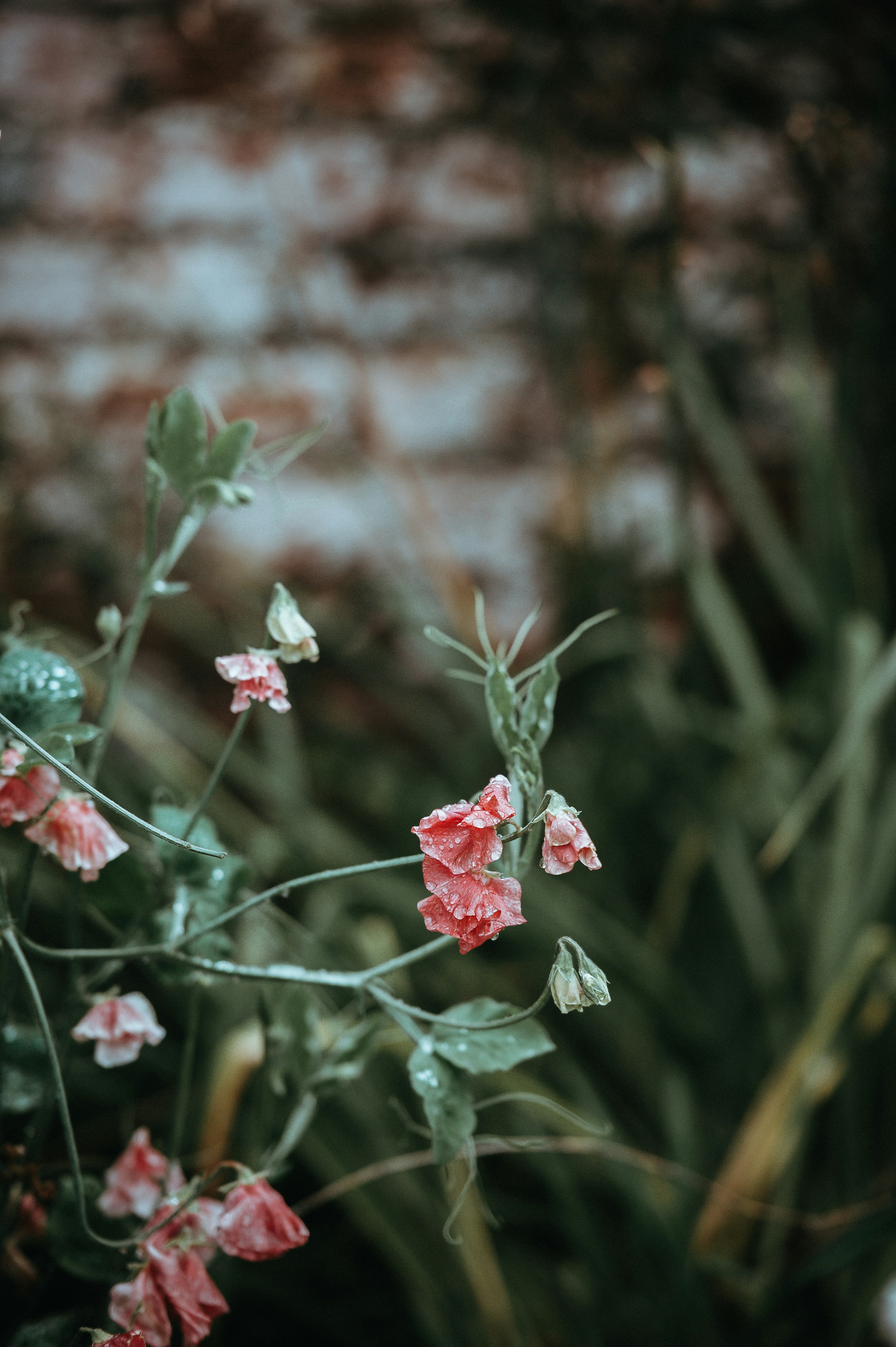 Photo by anniespratt