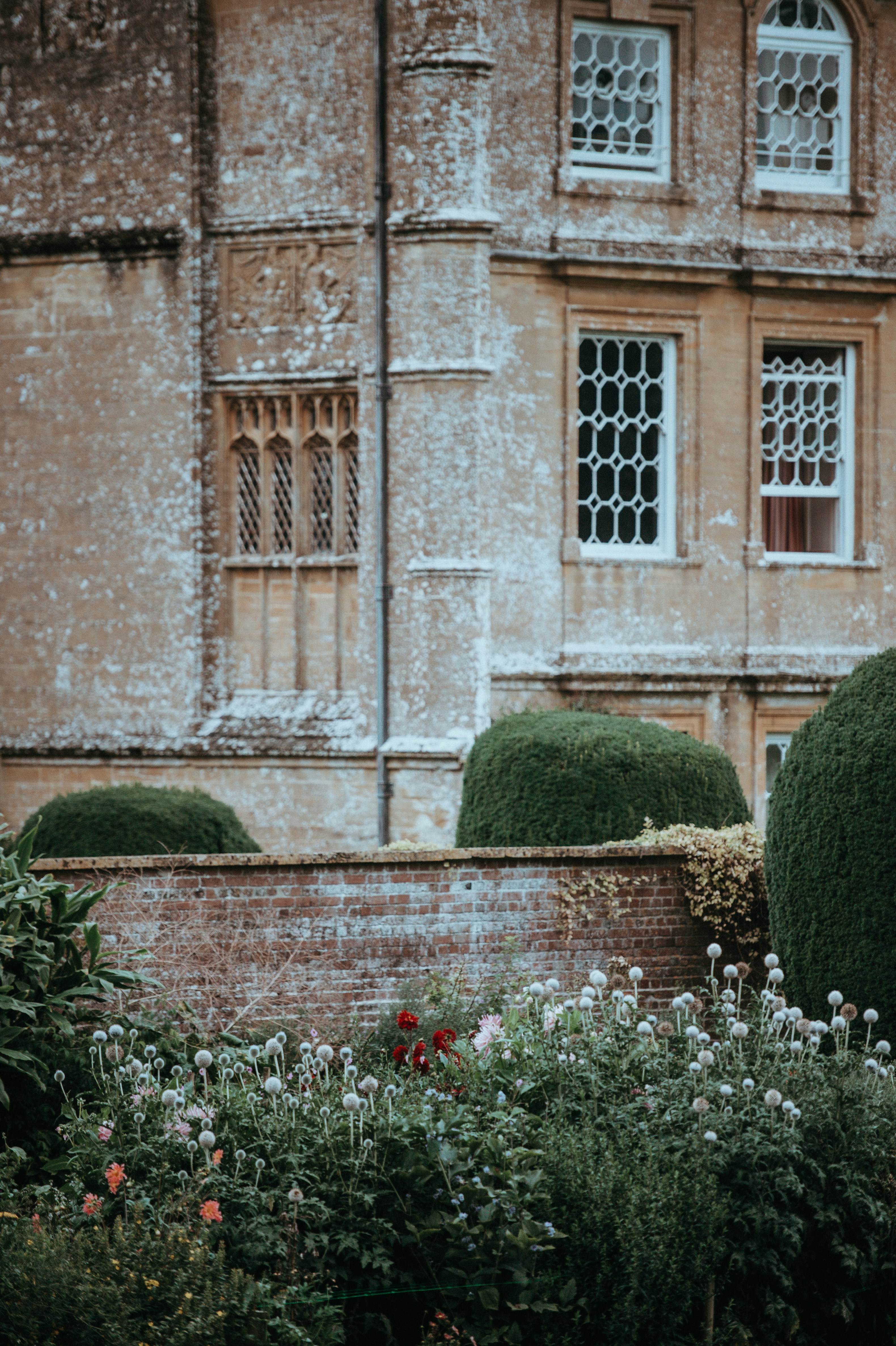 Photo by anniespratt