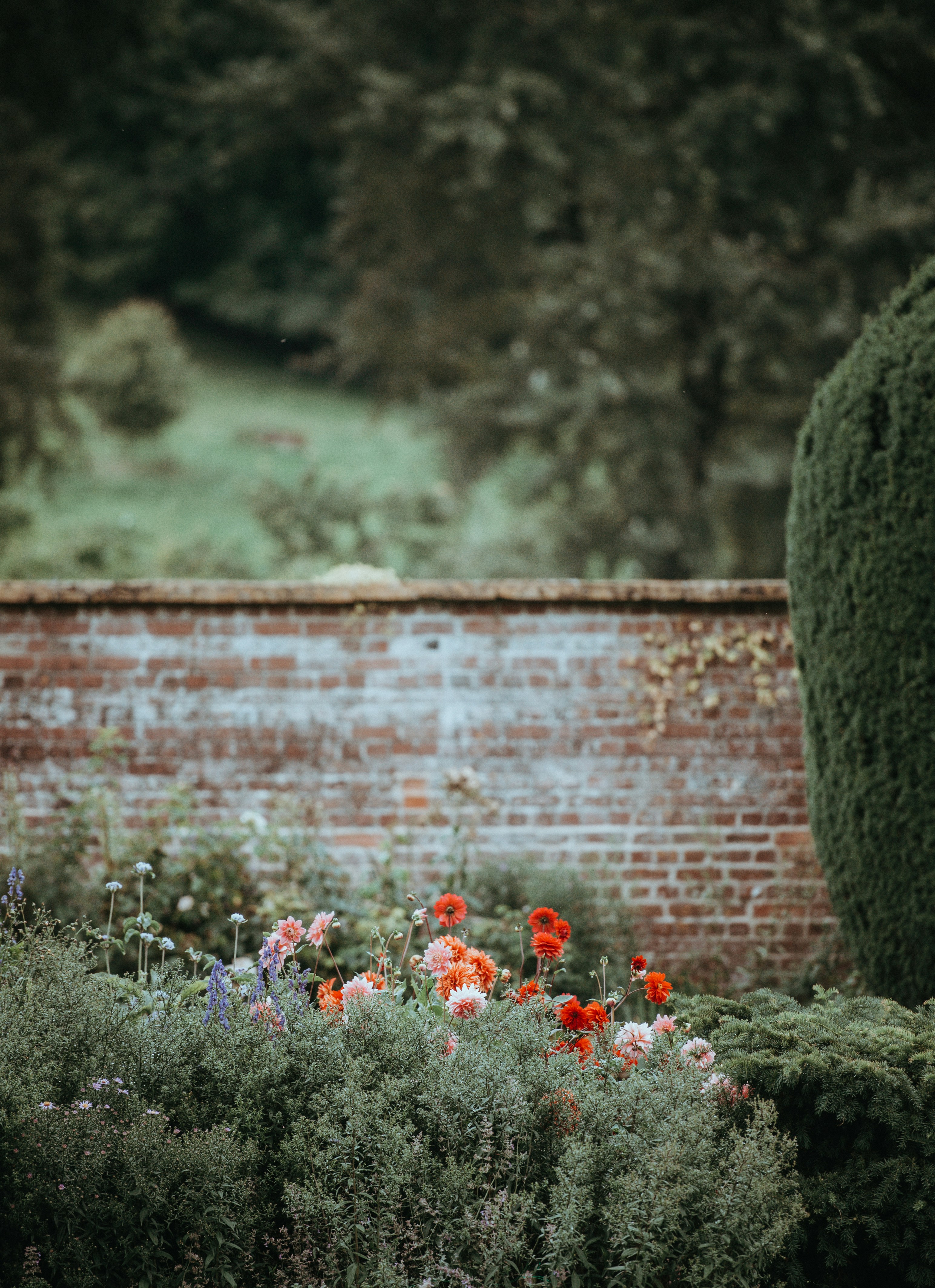 The Unexpected Wisdom of Indoor Gardens