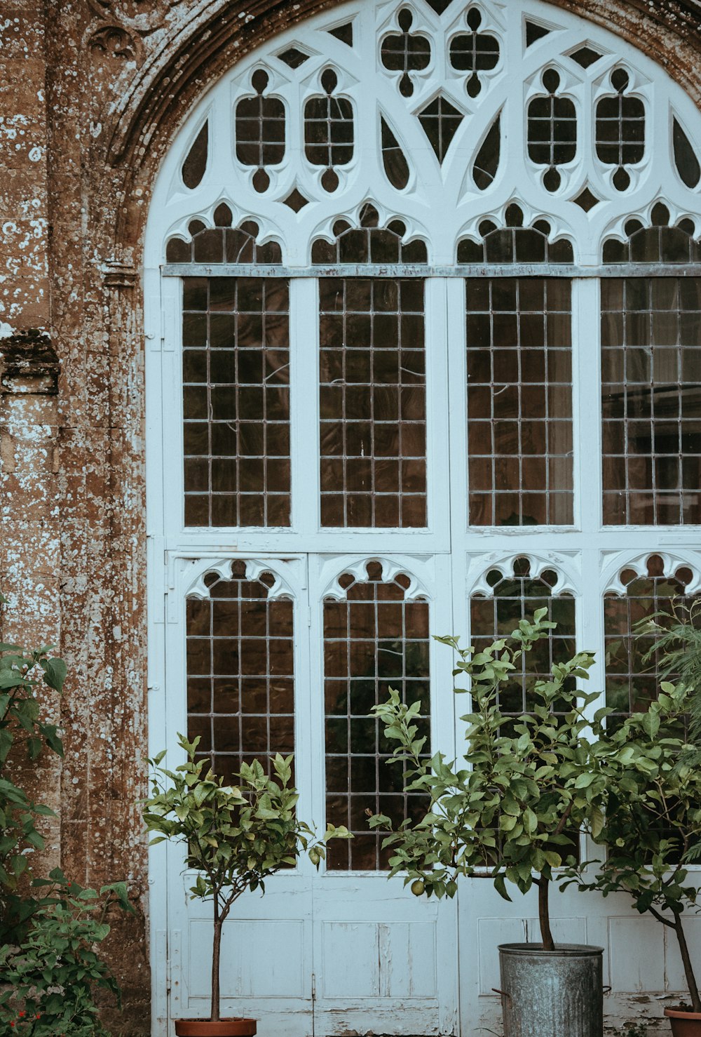 photography of door with potted trees outside