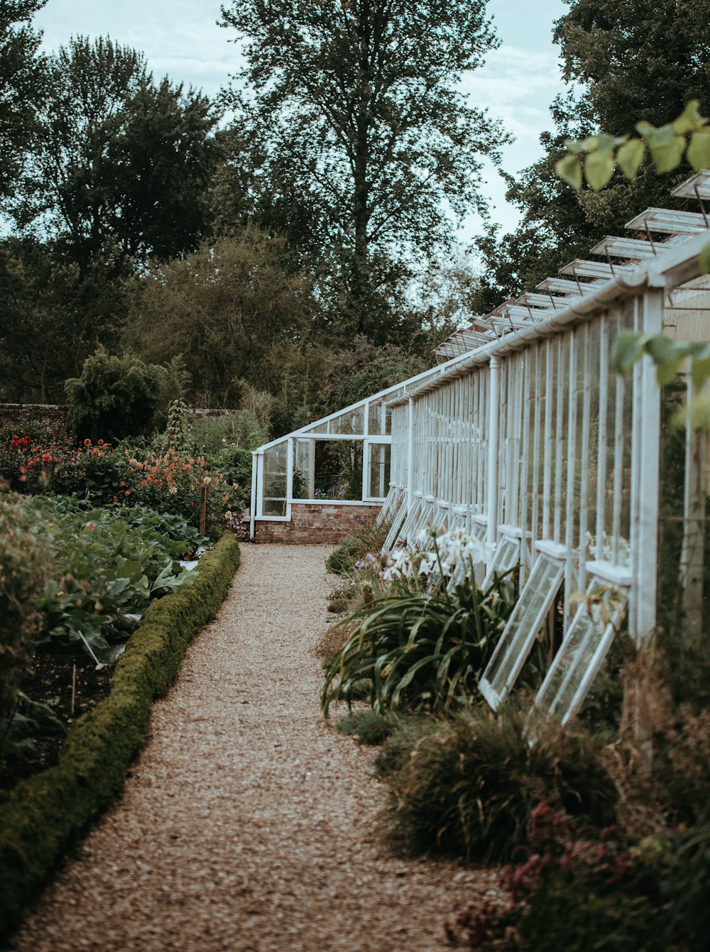 white green garden