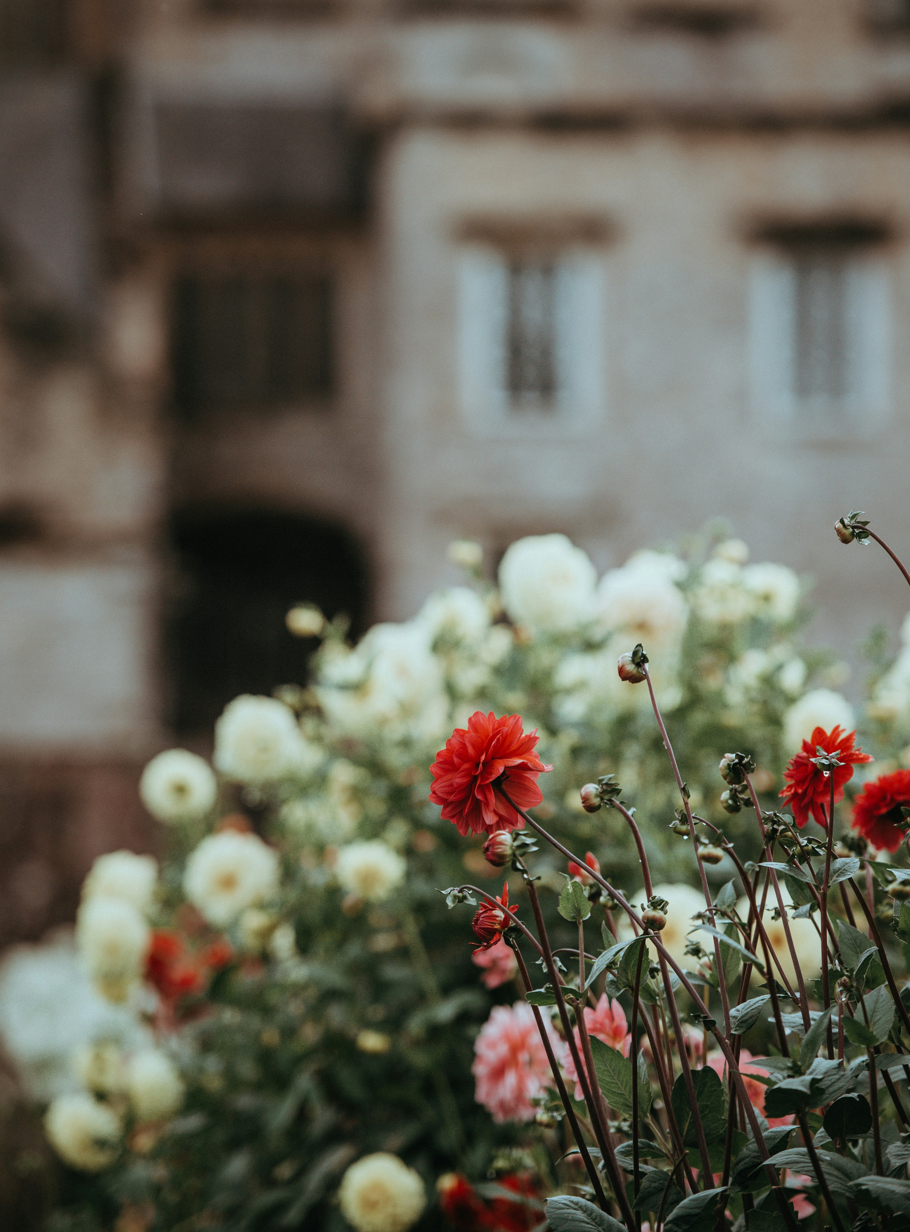 Photo by anniespratt