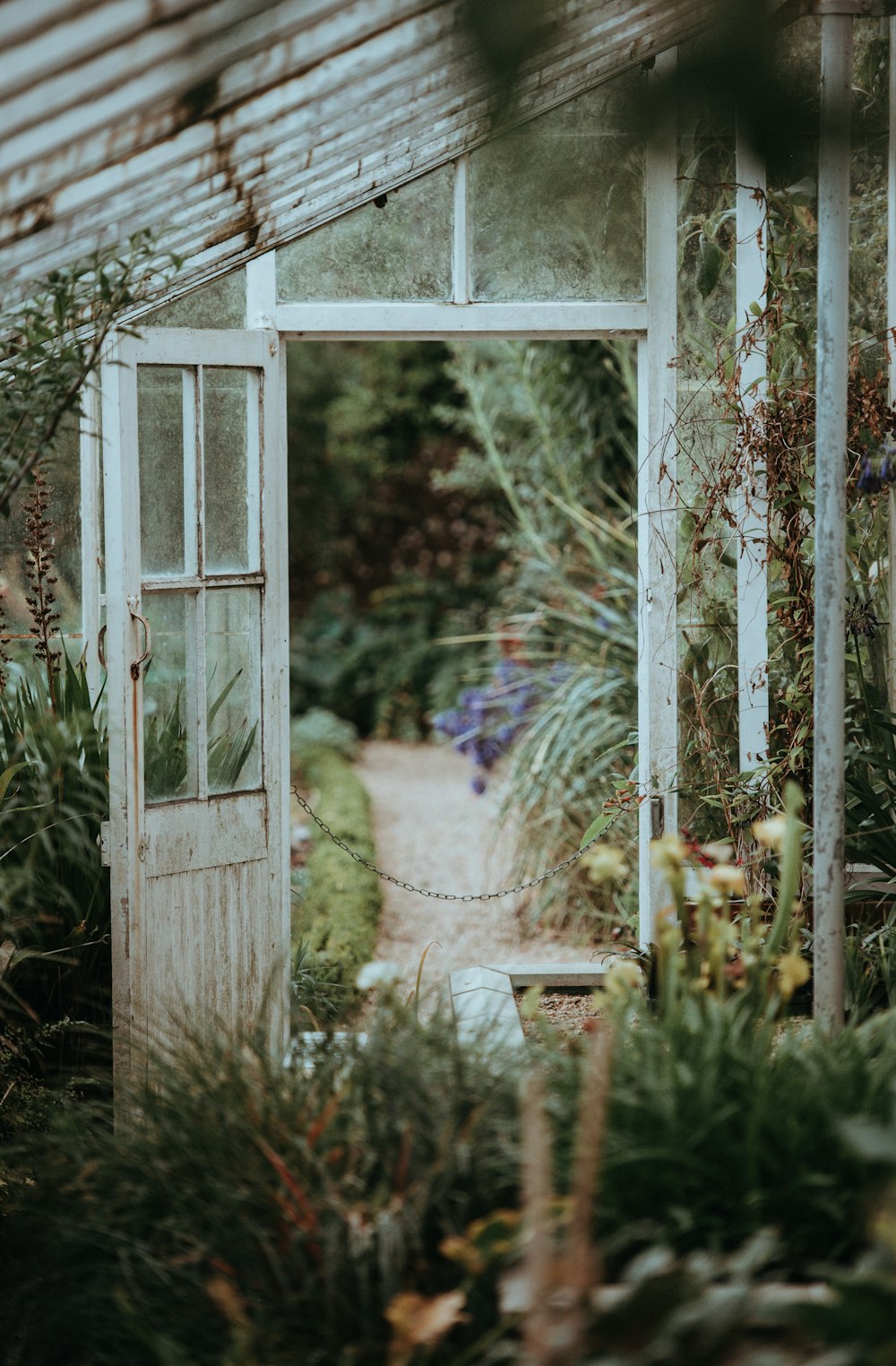 white metal greenhouse