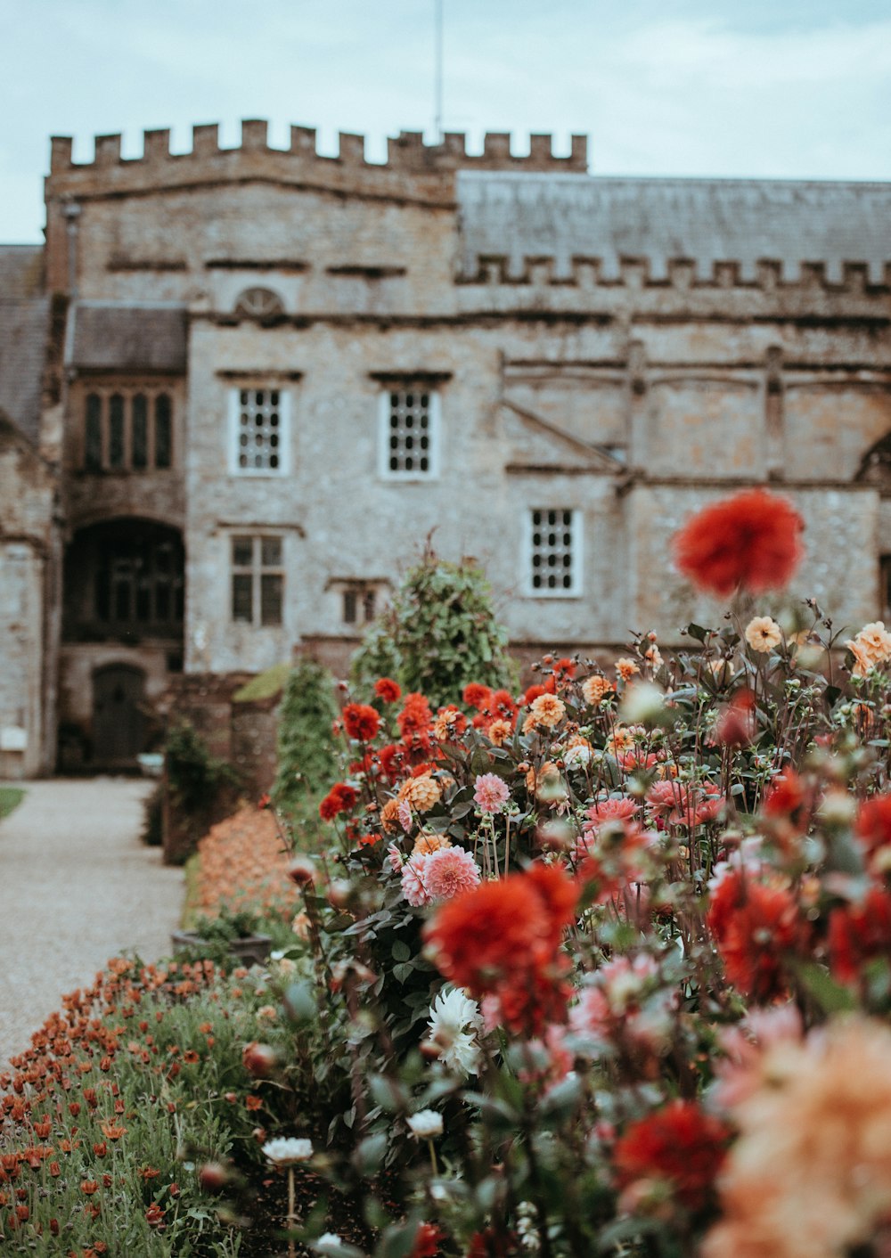 Fotografía de enfoque superficial de flores rojas y blancas cerca de un establecimiento antiguo