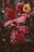 blooming red and yellow petaled flowers