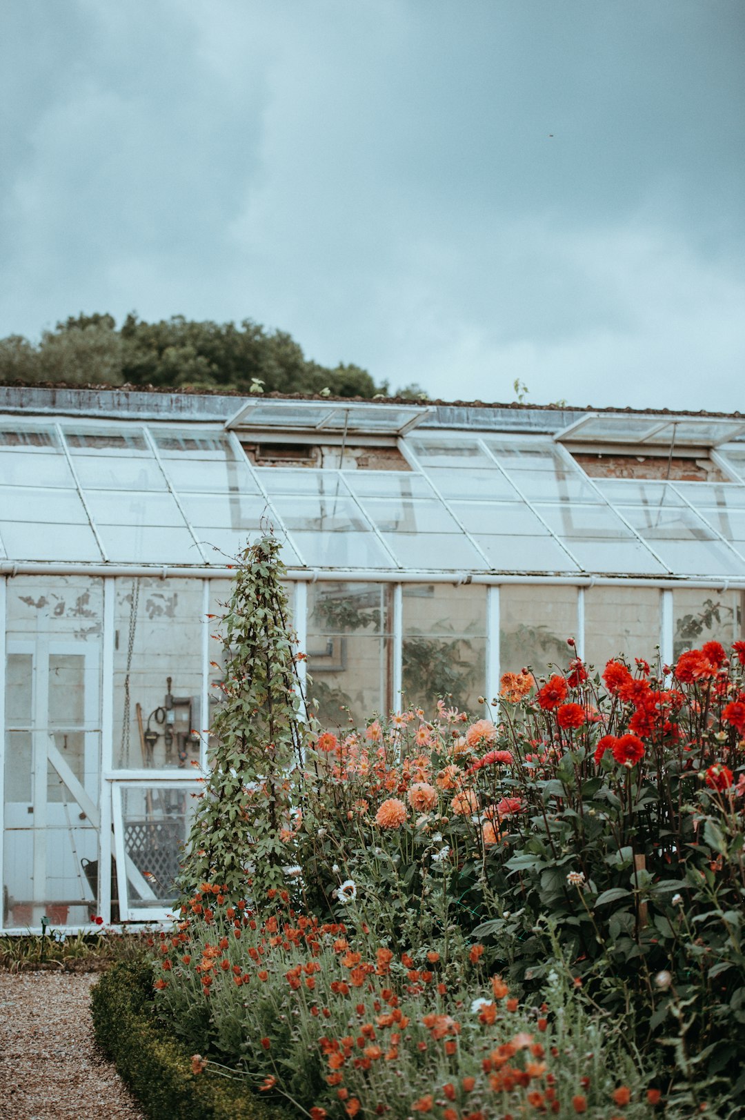 How to Start a Successful Backyard Garden Easily
