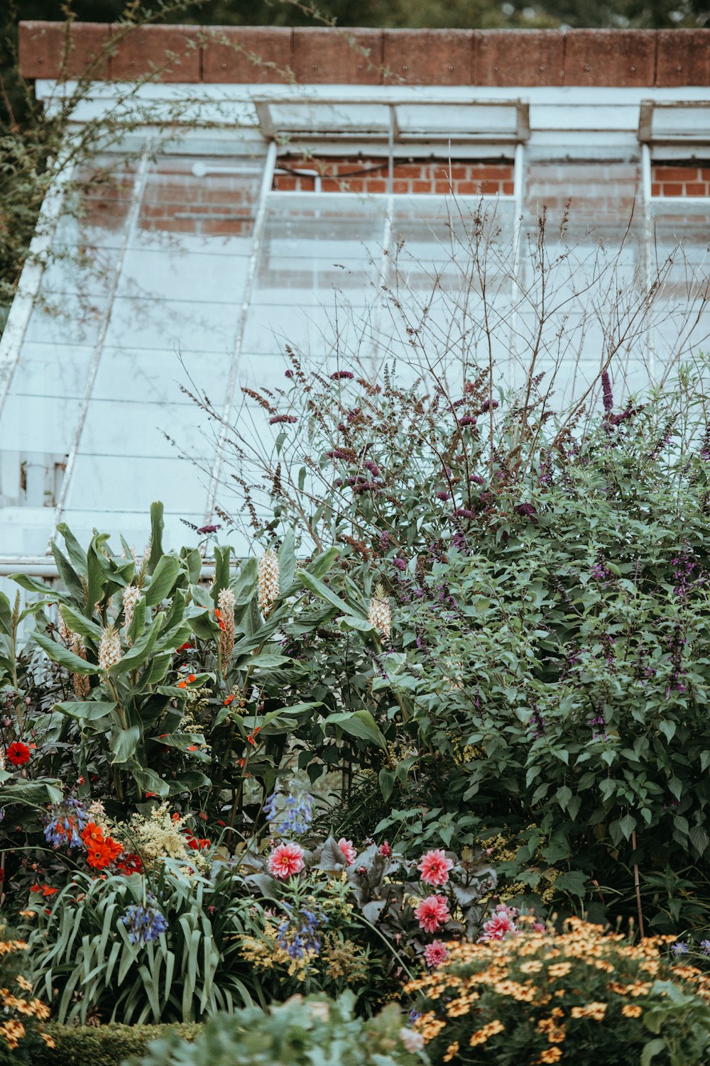 jardin de fleurs assorties