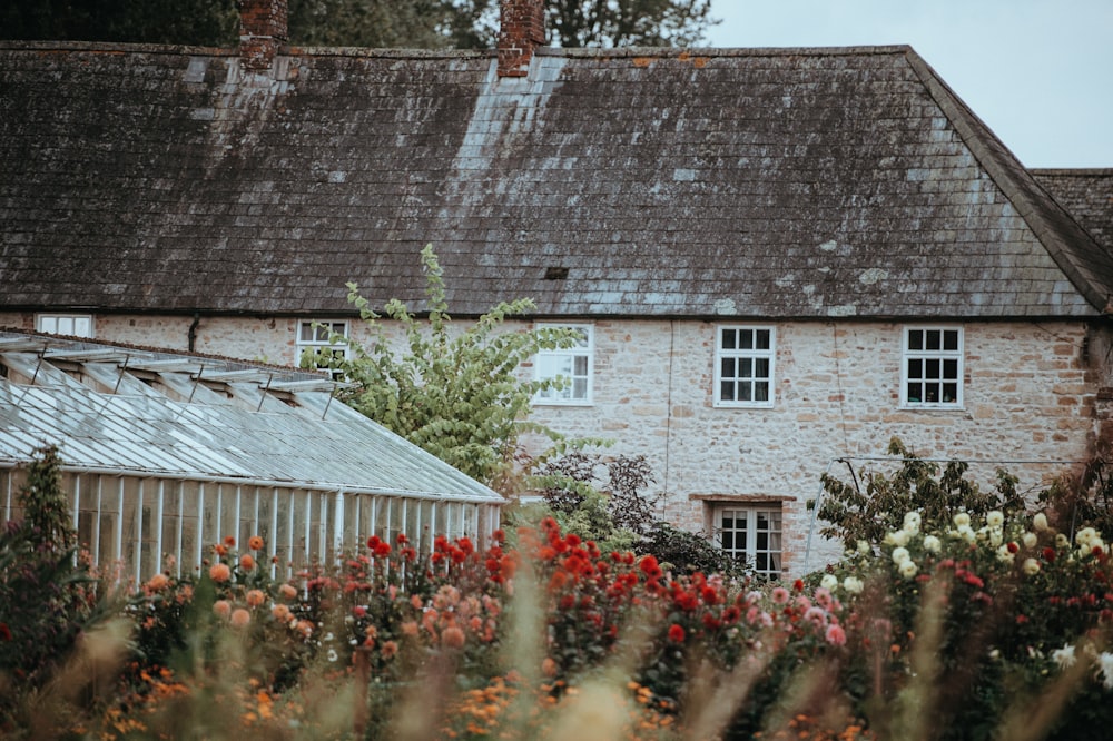 Selektive Fokusfotografie eines Hauses, das von Blumen umgeben ist