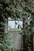 closed white framed glass panel door surrounded with plants