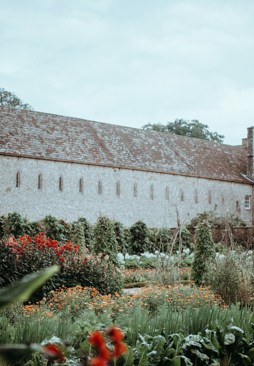 Maison en béton blanc et brun entourée d’un jardin