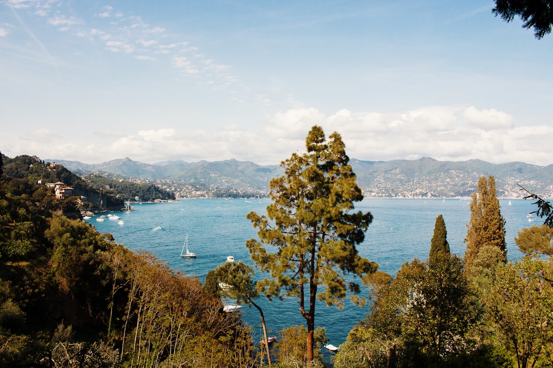 body of water near trees at daytime