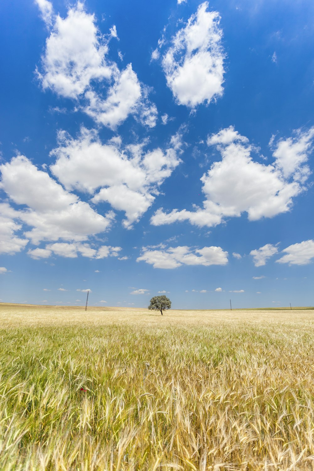 Best 100 Cloud Pictures Hq Download Free Images On Unsplash