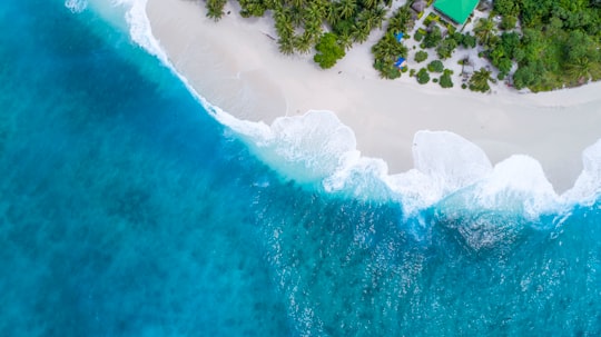 bird's eye-view photography beach in Fuvahmulah Maldives