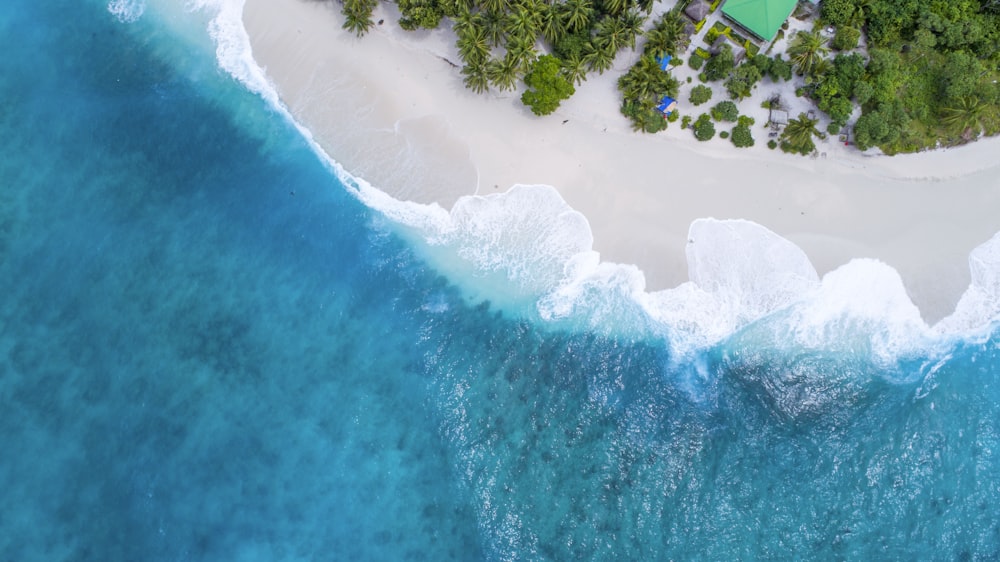 bird's eye-view photography beach