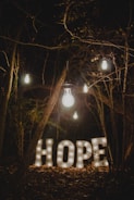 In a dimly lit forest setting, several glowing light bulbs hang from tree branches. Below them, illuminated letters spell out the word 'HOPE'. The scene is surrounded by dark trees and leaves, creating a mysterious atmosphere.