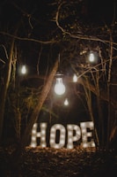 In a dimly lit forest setting, several glowing light bulbs hang from tree branches. Below them, illuminated letters spell out the word 'HOPE'. The scene is surrounded by dark trees and leaves, creating a mysterious atmosphere.
