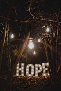 hope marquee signage surrounded by trees