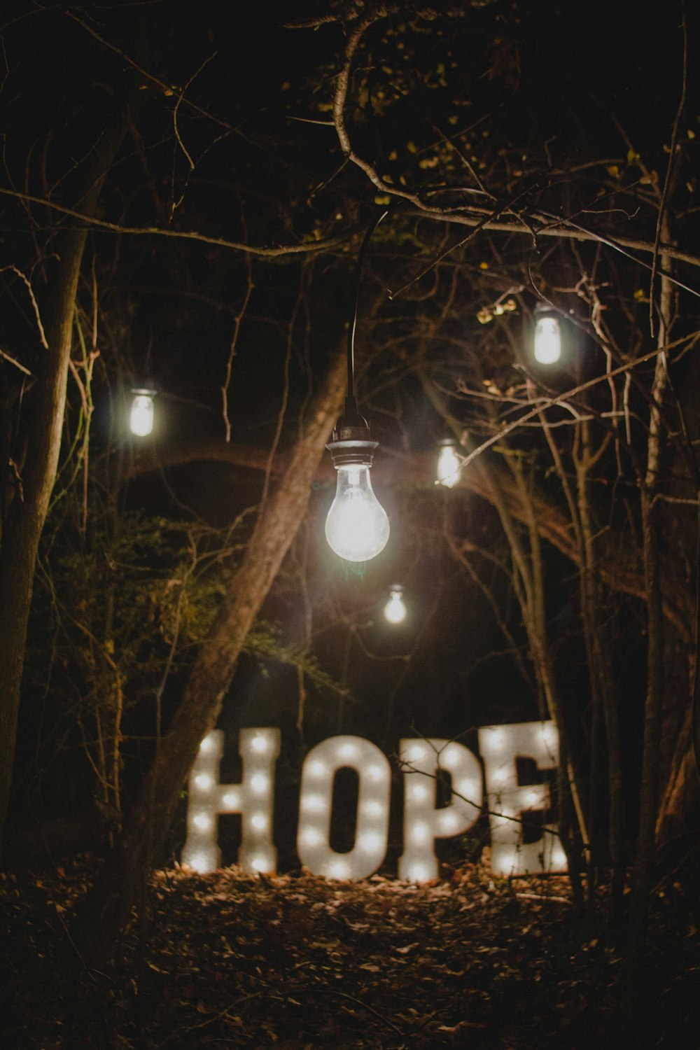 hope marquee signage surrounded by trees